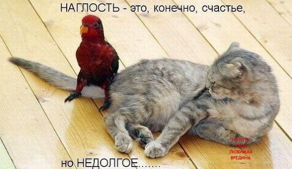 image (20)