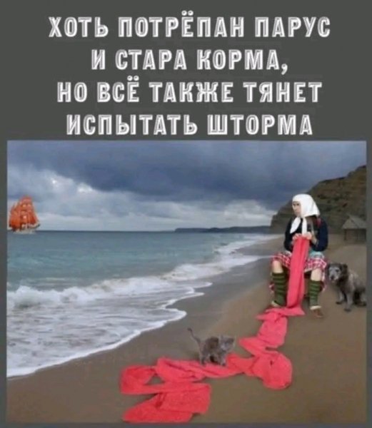 file_103147694