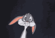Bugs-bunny-looney-tunes (2)