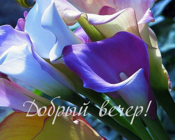 IMG 20181202 713156