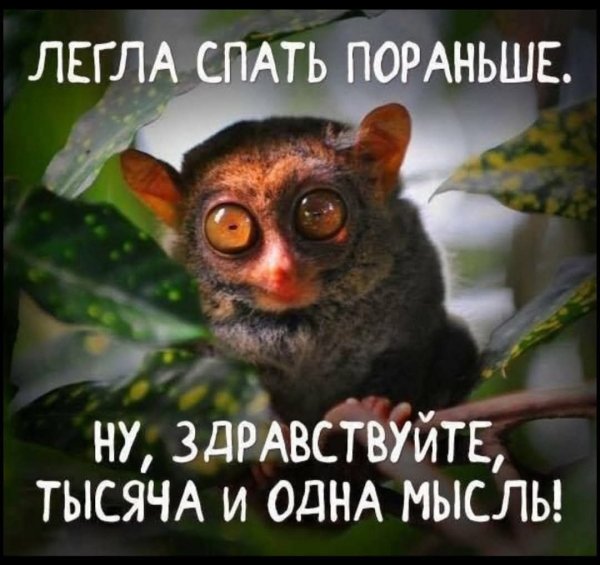 FB IMG 1778007645582