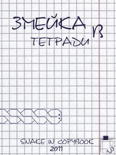 Змейка в тетради TK