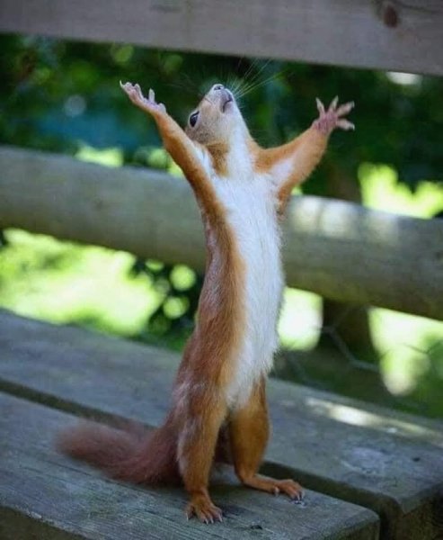 Как прекрасен єтот мир,посмотри!