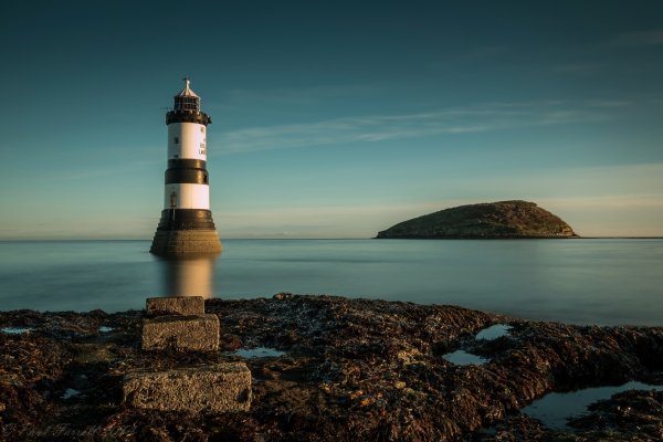 penmon-lighthouse-puffin