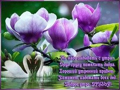 Доброе утро Друзья