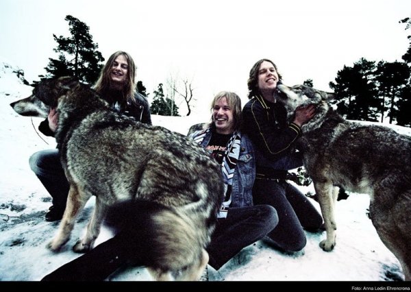 Wolf - Voy