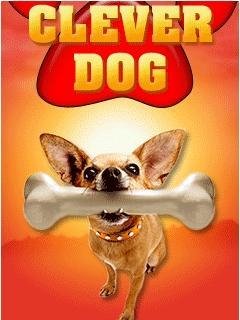 Clever Dog 240x320s40