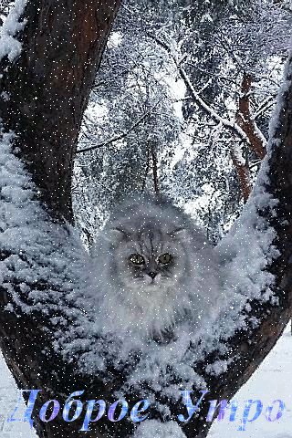 file_92270547