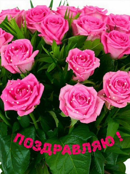 file_79731933