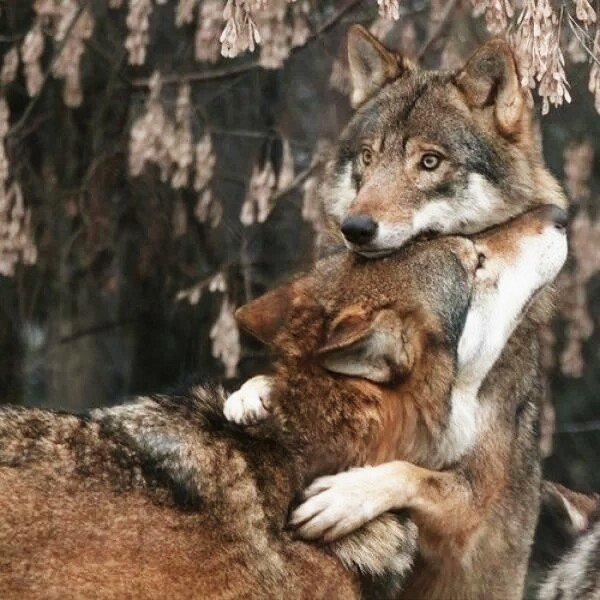 IMG 20190108 234855 711