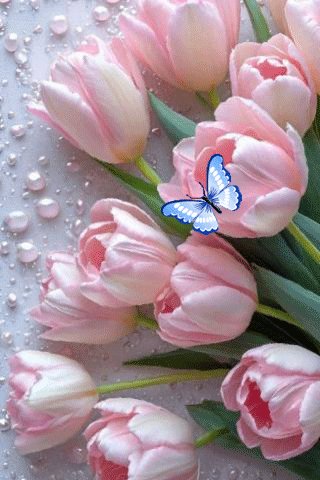 file_99173689