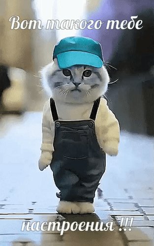 Анимированная открытка вот такого тебе