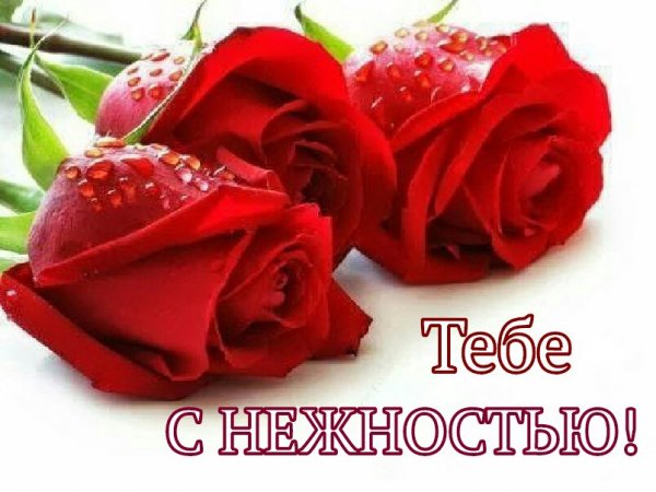 DokN5LsXDTw