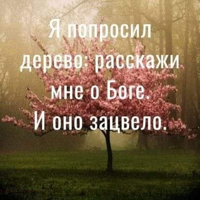 FB IMG 1708328812885