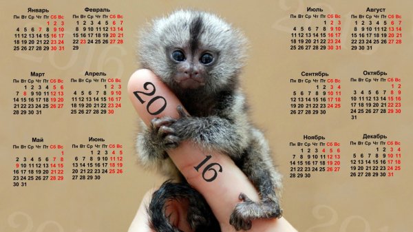 Календарь-2016 (1)