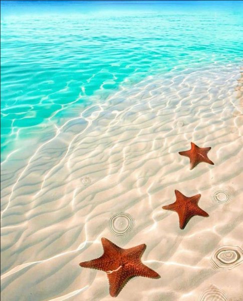 Screenshot 2021-05-01-21-26-40