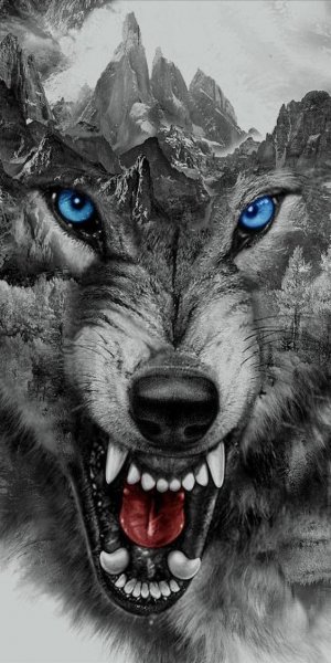 WOLF