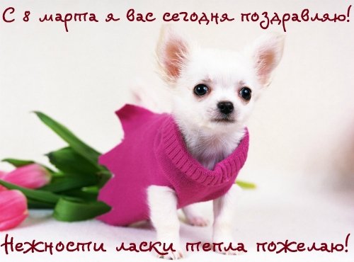 с 8 марта 48