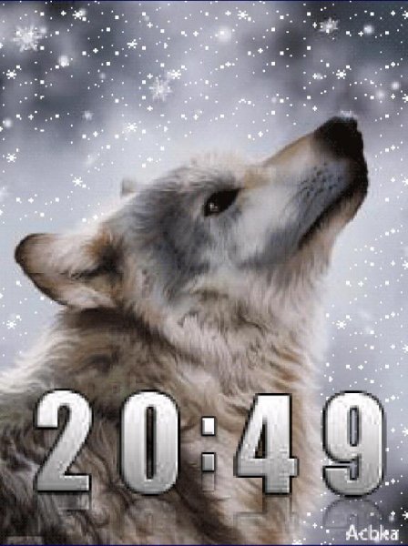 Волк