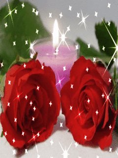 file_480140