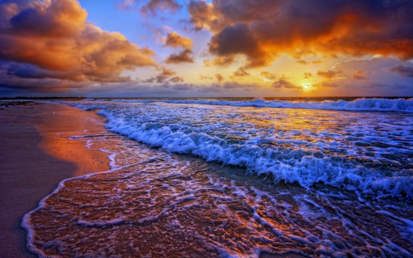 sea-sunset-beach-seashore