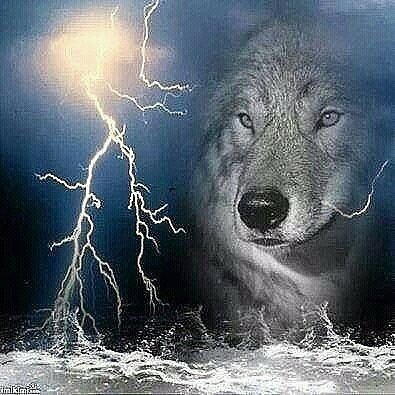 YA VOYUKAK ODINOKIJ VOLK