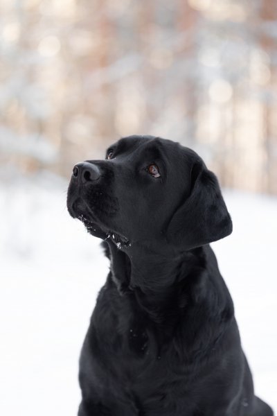 CRDFTDXHGJHCFCFBDR06U