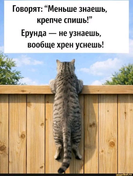 file_103258065