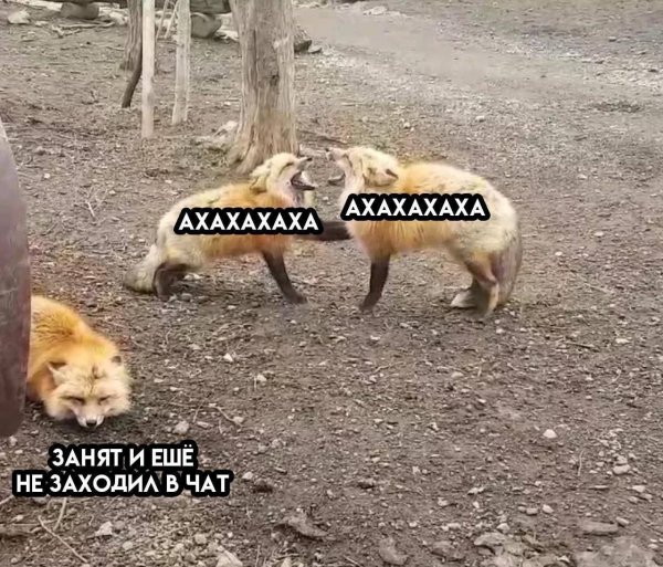 ЮМОР-humor (39)