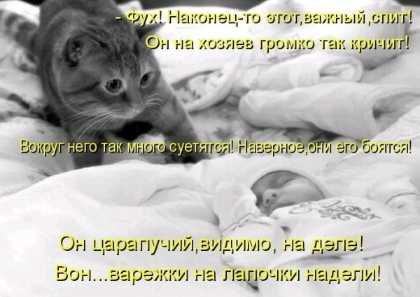 file_103176693