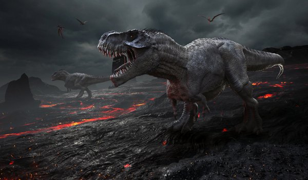 Dinosaurs Fire Tyrannosaurus rex Roar 568301 1280x748