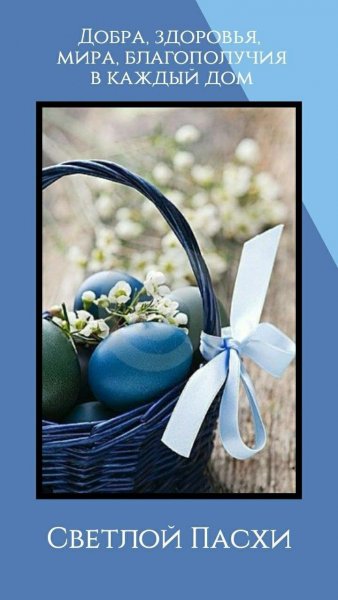 file_93322578