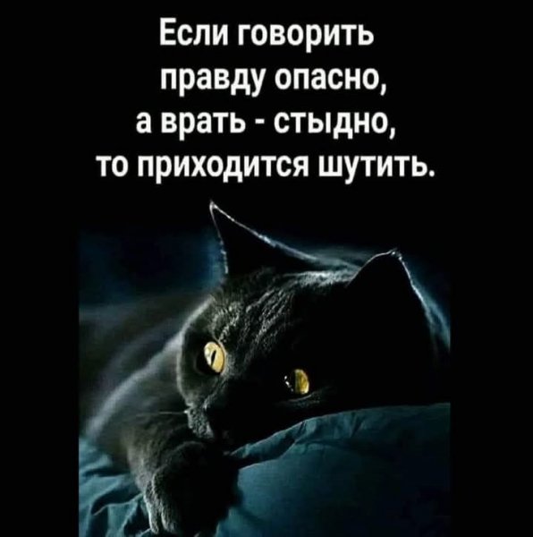 FB IMG 1754291459414