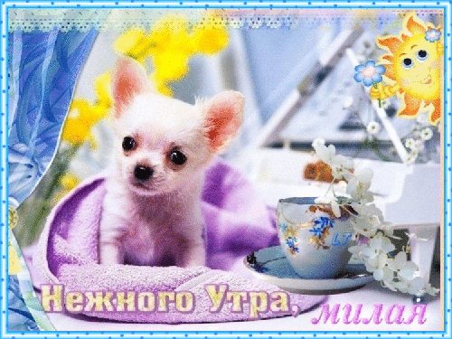 file_45656986