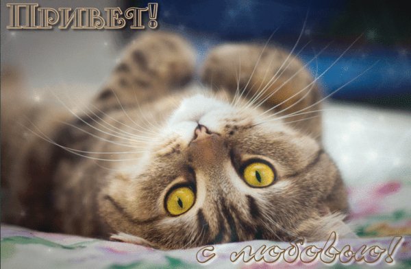 Всем привет!
