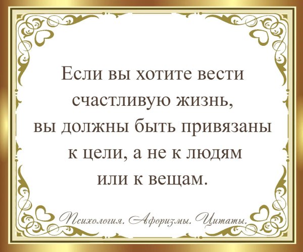 IMG 20250125 150543