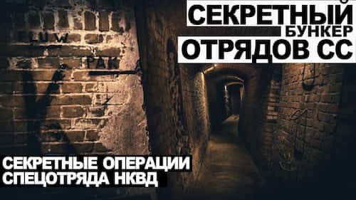 11. Дело номер 011