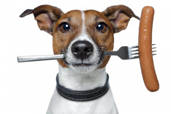 Shutterstock 97079267