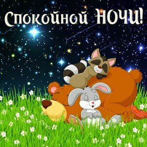IMG 20181114 175243 803