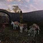TB packdonkey1 0