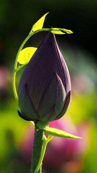 file_89837810