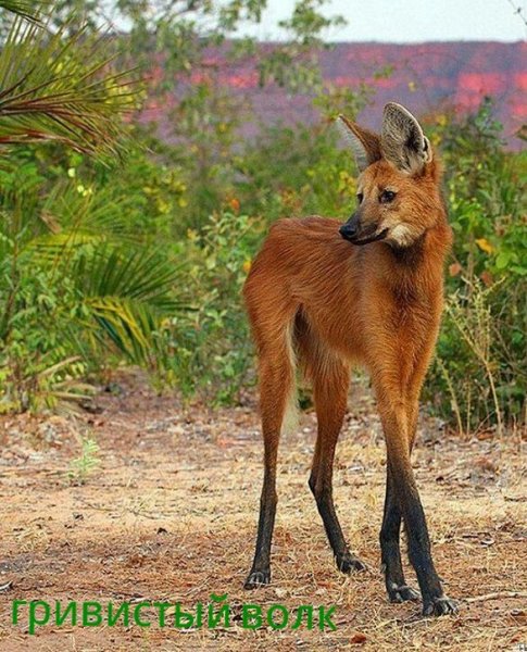 IMG 20190804 144053 205