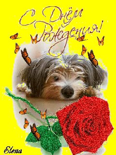 S Dnem Rozhdenija- 3