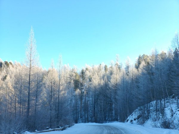 -5265099030214600239 121