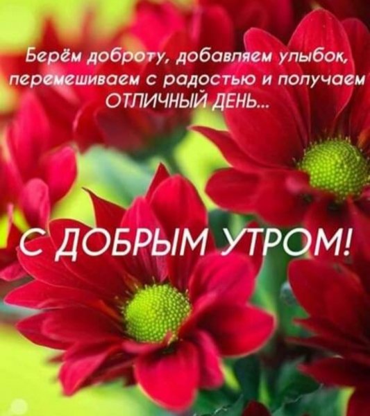 IMG 20200501 032534