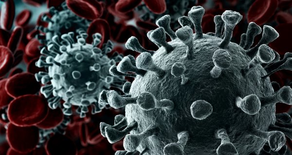 Koronavirus