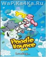 Poodle Bounce