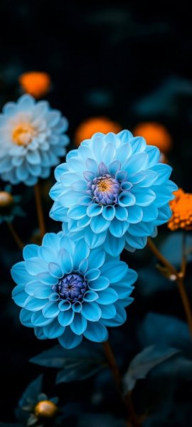 file_100824329