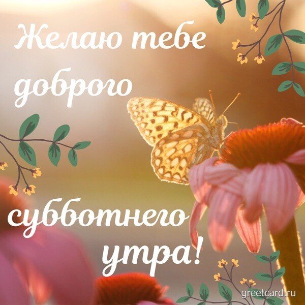 Доброго субботнего утра