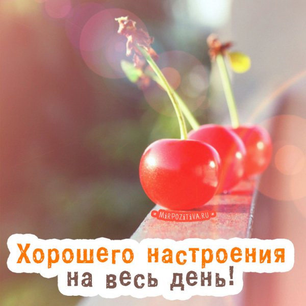 IMG 20181228 975436